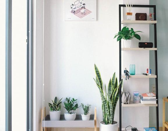 ТОП-7 советов по выбору бризера для дачи в Балашихе