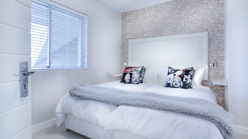 Как установить сплит-систему в Балашихе для офиса с животными