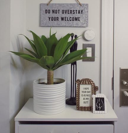 Плюсы монтажа сплит-систем в Балашихе для аллергиков