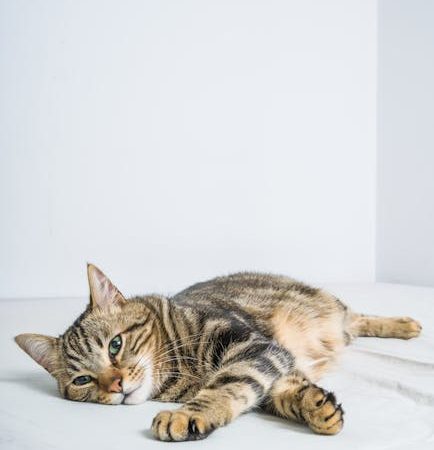 Почему приточная вентиляция с монтажом в Балашихе популярна